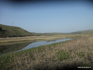 lle del Simeto-24-02-2013 08-50-32
